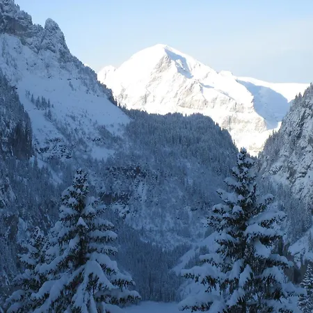 Flaine Appt H3 *